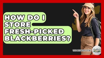 How Do I Store Fresh-picked Blackberries? - The Midwest Guru