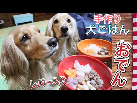 【手作り犬ごはん】愛犬にレバー入りおでん☆咀嚼音/ASMR