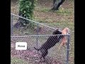 Общее настроение, распространите😂 #стройка #работа #юмор