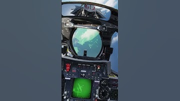 We Flew The F-14 With A Real RIO