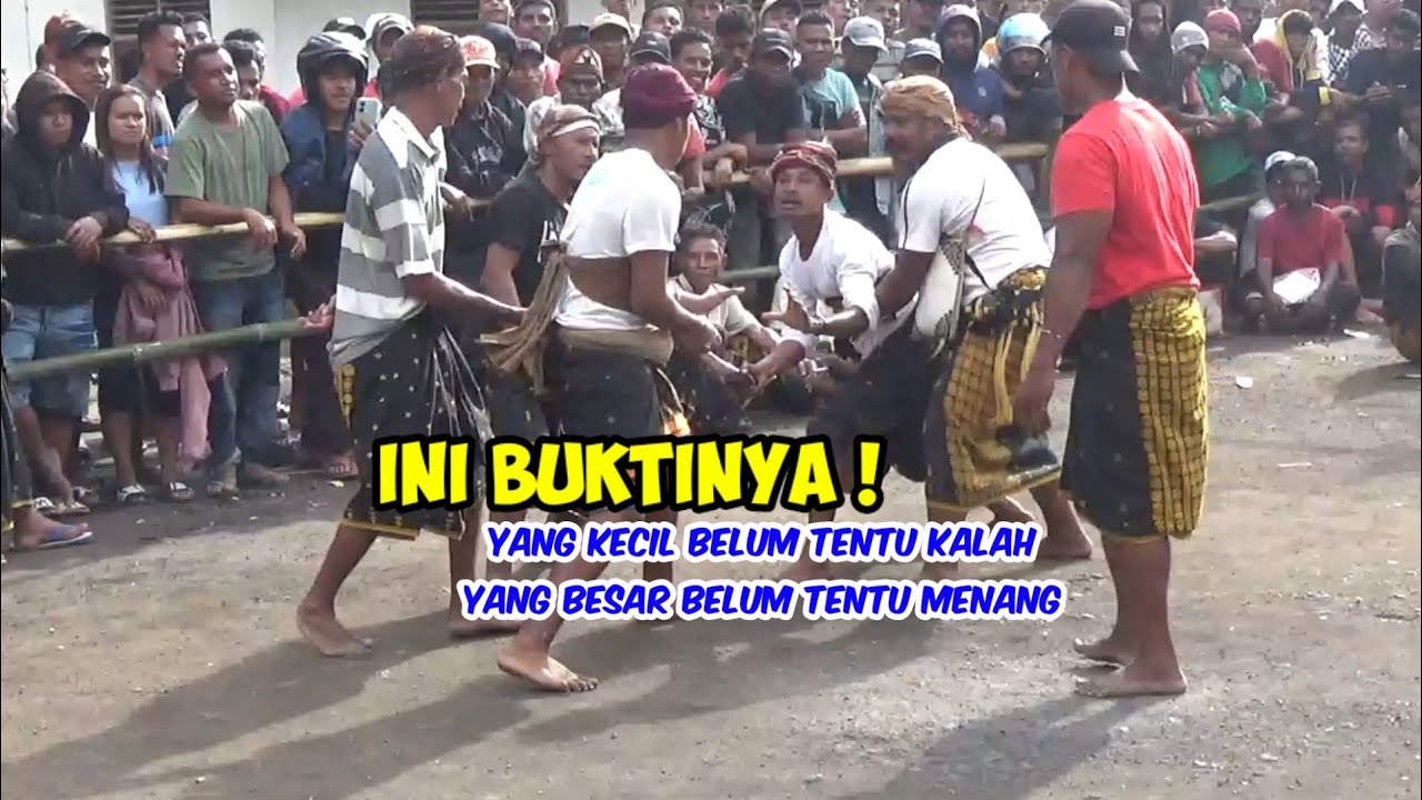 Perbedaan fisik bukan segalanya || Tinju Adat Terbaru 2025 |