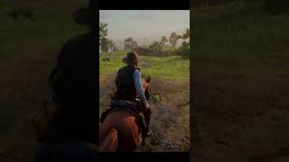The Cinematic Ride You Didn’t Expect 🎬🐎