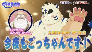 今夜もごっちゃんです！太助の本場所中連日配信【十一月場所十日目】