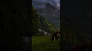Calming day ⛰️🌲🐄 #forest #sleepsounds #nature #shorts