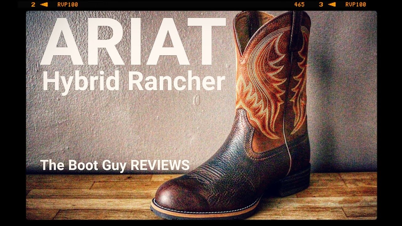 ariat hybrid rancher review