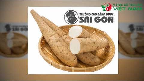 Những công dụng của Củ Mài trong điều trị bệnh và bồi bổ cơ thể
