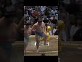 Kotozakura VS Onosato Natsu Basho 2024 Sumo #япония #japan #сумо #sport #mma #ufc #wwe #sumo #борьба