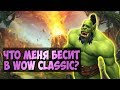 10 УЖАСНЫХ ВЕЩЕЙ  WoW Classic. О чем думали Blizzard? World of WarCraft:Classic