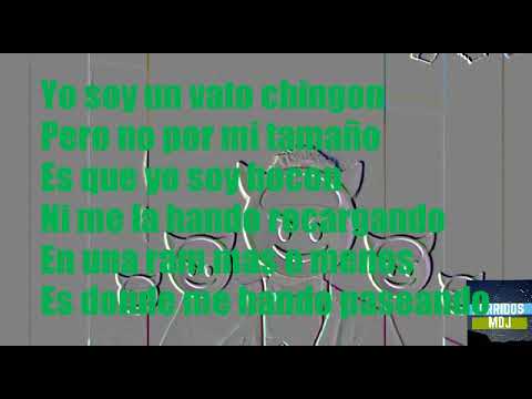 El Vato Chingón - Los Narcos De S.L.P (LETRA)