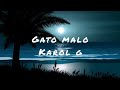 gato malo letra Karol g