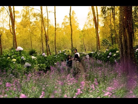 Wisata Coban Talun Batu Youtube Wisata Coban Talun Batu Youtube