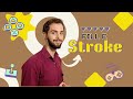 08 | Módulo 1: Comandos Fill e Stroke do P5.js (PlayFísica)