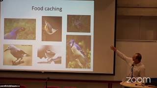 June 30 - 11:00 AM - Vladimir Pravosudov: Chickadee Spatial Cognition