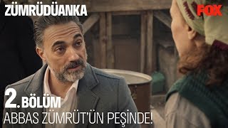 Abbas, Zümrüt’ün peşinde! Zümrüdüanka 2. Bölüm