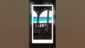 #اكسبلور #المصحف #تيك_توك #الرحمن #حالات_واتس #قران كريم