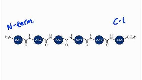 The Problem of Protein Sequencing