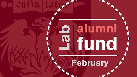 Introducing the Lab Alumni Fund
