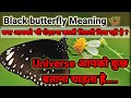 ❌❌काली तितली🦋 का दिखना?? किस बात का संकेत है?black butterfly meaning #spiritual#blackbutterfly