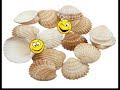 Impresionantes ideas hechas con conchas de mar. Los Hobbies de Yola