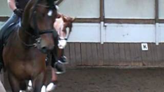 CIMG1644