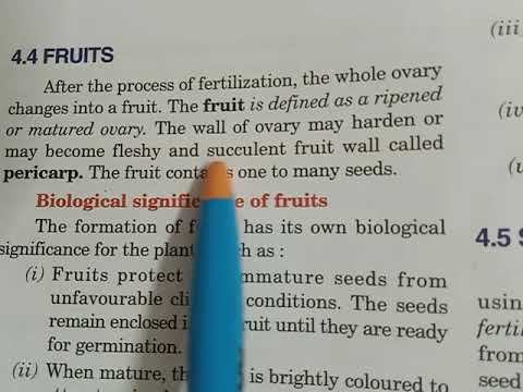 Biology Class 9 pollination and Fertilization (part-F) - YouTube