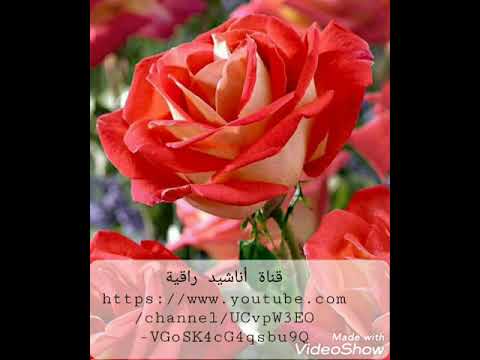 أنشودة قم وحيدا