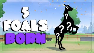 5 FOALS ARE BORN! ⭐ Equestrian The Game BREEDING