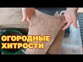 НОВЫЙ СПОСОБ ВЫРАЩИВАНИЯ РАССАДЫ