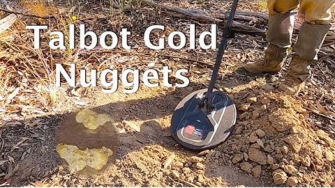 Talbot Gold Nuggets prospecting with the GPZ 7000 & NF Z Search 17"x13" coil.