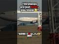 “Airplanes are just birds, you know 😉“ #aviation #airplane #a330 #airplaneflying