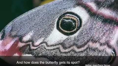 A new study on how to engineer synthetic gene networks