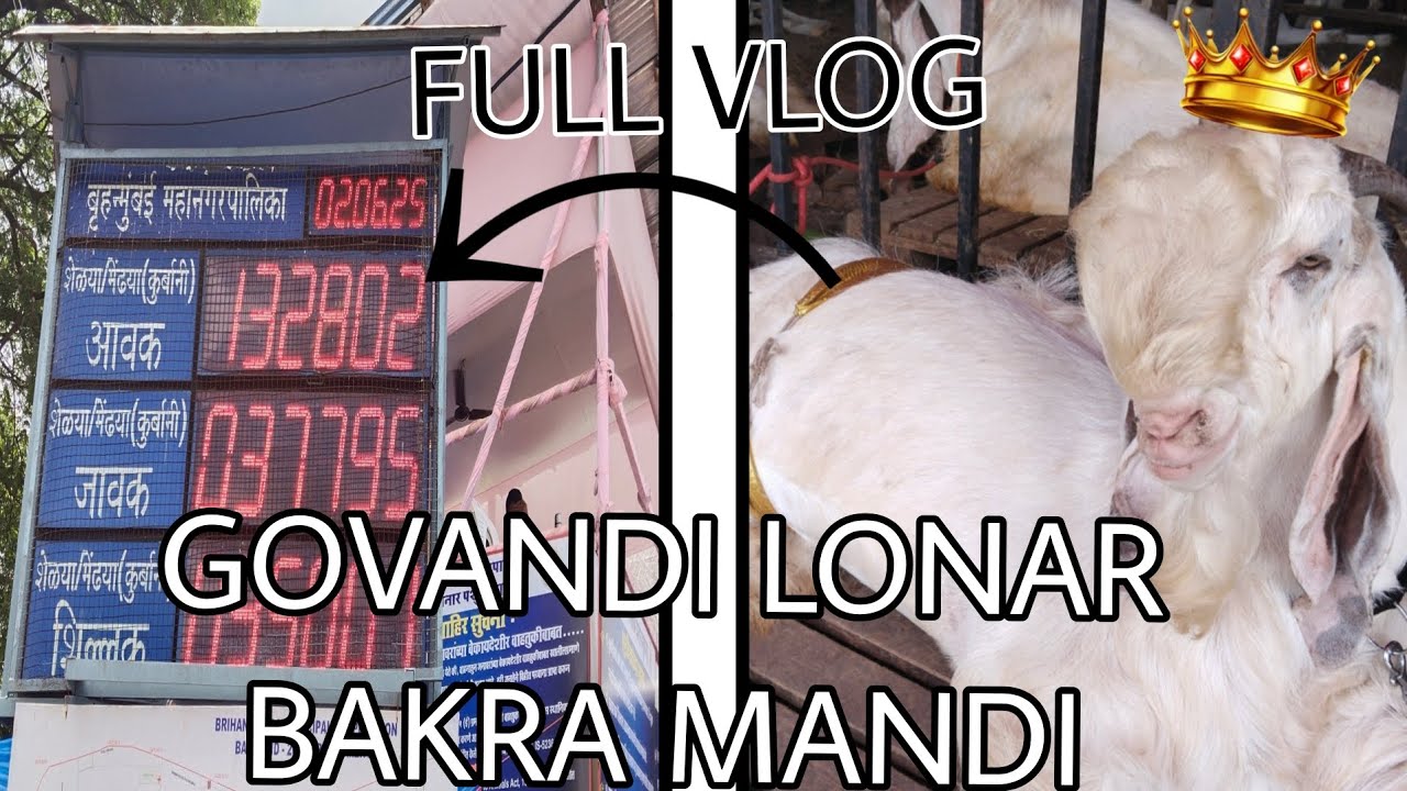 GOVANDI DEONAR BAKRA MANDI FULL VLOG 2025/1446#mohdvlogs #viralvideo # ...