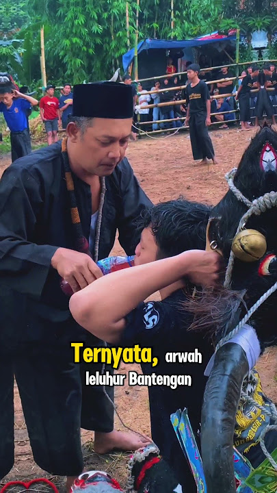 Possession in the Middle of the Show🌚🌝 #horse #bull #bullfighting