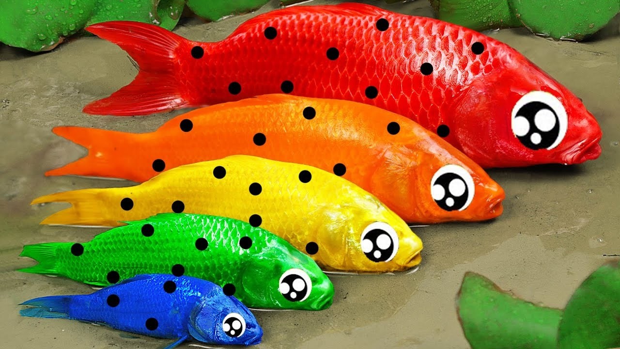 Best Of Small Fish Recipe | MINIATURE Fish Cooking Made EASY with Simple Recipe