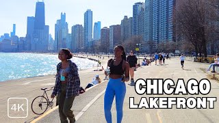 Sunday Afternoon in Lakefront Trail in Downtown Chicago Walking Tour | March 3, 2024 | 4k 60fps
