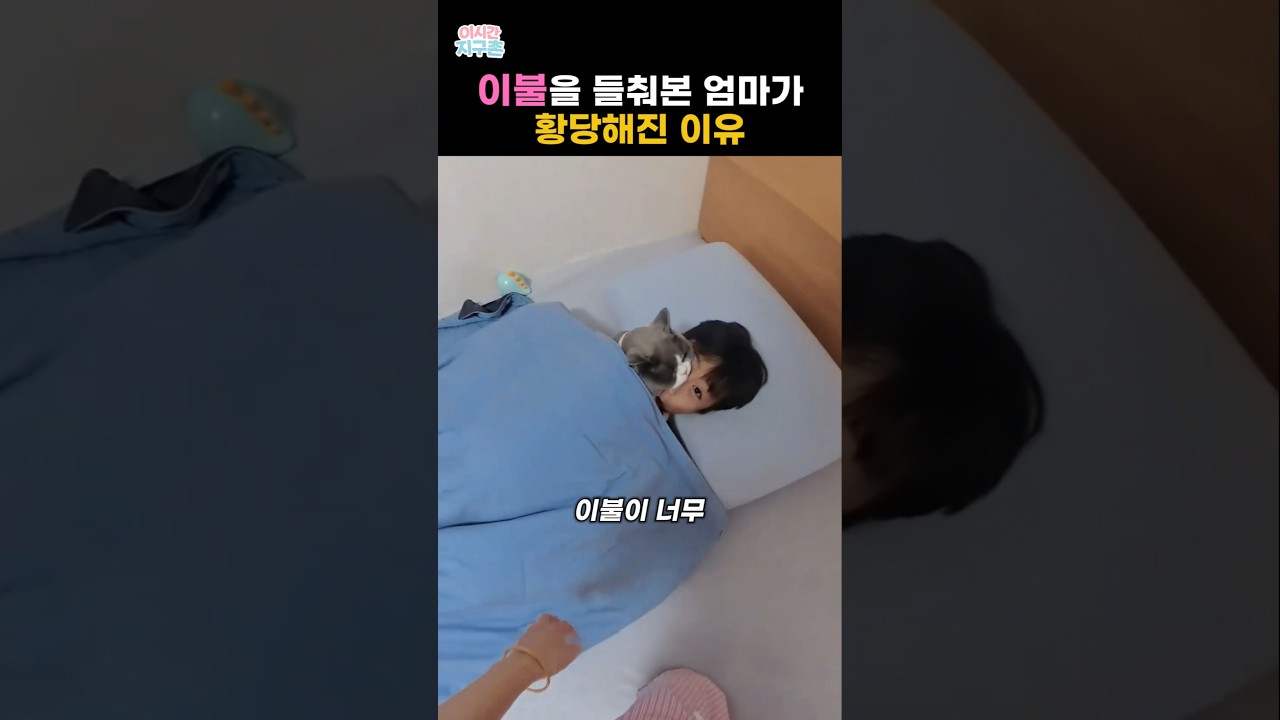 이불을 들춰본 엄마가 황당해진 이유# #동물 #고양이 #유머