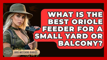 What Is The Best Oriole Feeder For A Small Yard Or Balcony? - Bird Watching Diaries