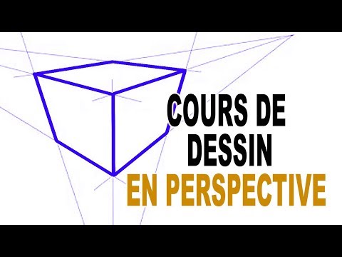 Vidéo: Perspectives: La Première étape