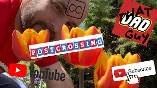 Postcrossing- Now more Accessible