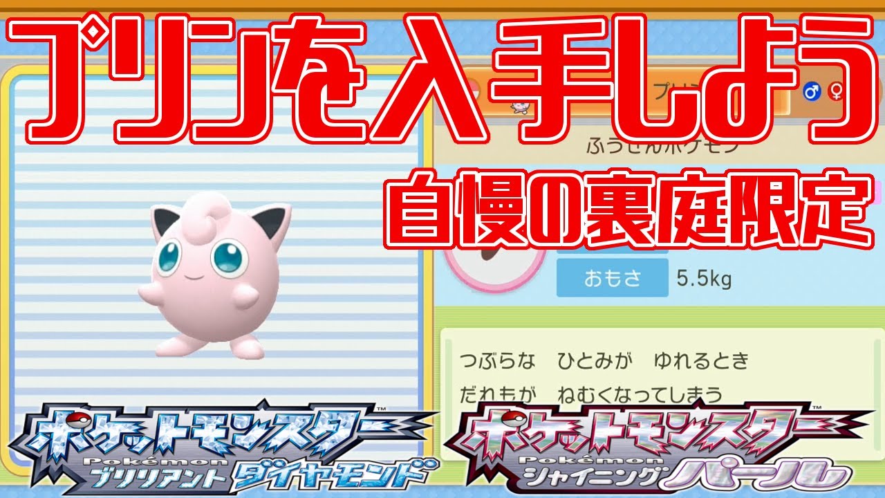 ポケモンダイパリメイク プリンを入手しよう 自慢の裏庭限定 じまんのうらにわ ポケットモンスター ブリリアントダイヤモンド シャイニングパール Pocket Monsters Youtube ポケモンダイパリメイク プリンを入手しよう 自慢の裏庭限定 じまんのうらにわ ポケットモンスター ブリリアントダイヤモンド シャイニングパール Pocket Monsters Youtube