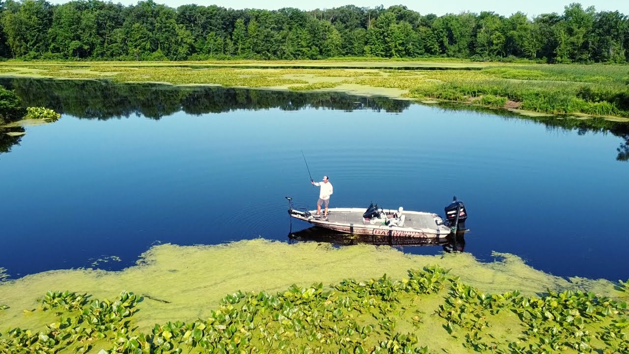 Bass Fishing Heavy Weeds & Grass in Ponds & Lakes - Kraken Bass