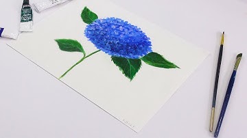 Hướng dẫn vẽ hoa cẩm tú cầu đơn giản | How to draw a Hydrangea for beginners ?