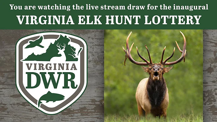 Elk Hunt Drawing Premiere 2022
