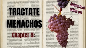An Animated Summary of the Entire Talmud | Book 31, Chapter 9