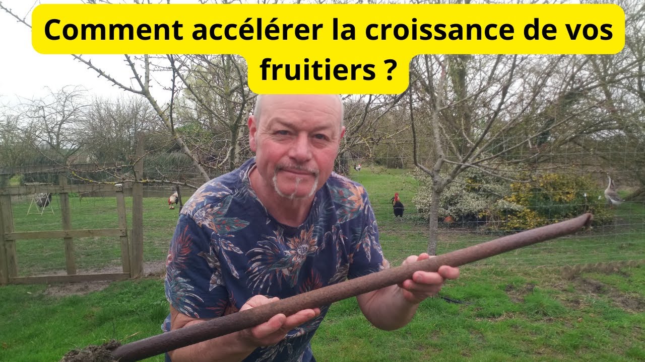 Comment accélérer la croissance de vos arbres fruitiers ?