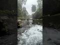 Treking ke Curug Jenggala Baturraden Banyumas