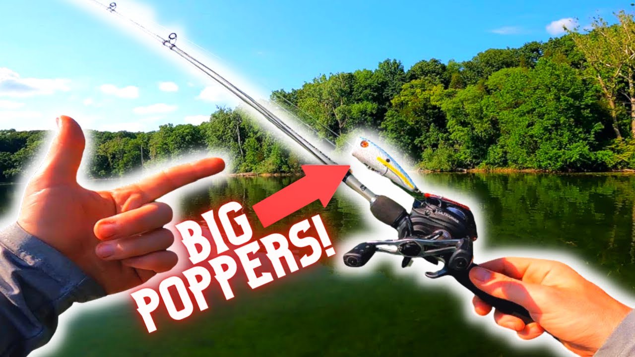 Tips For Fishing BIG TOPWATER Poppers For Summer Bass 