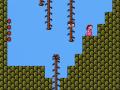 Super Mario Bros 2 WALKthrough 6 3
