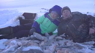 Зимняя Рыбалка в 30 Язь Голыми Руками 