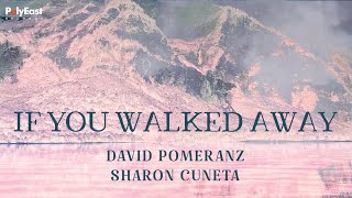 David Pomeranz, Sharon Cuneta - If You Walked Away -